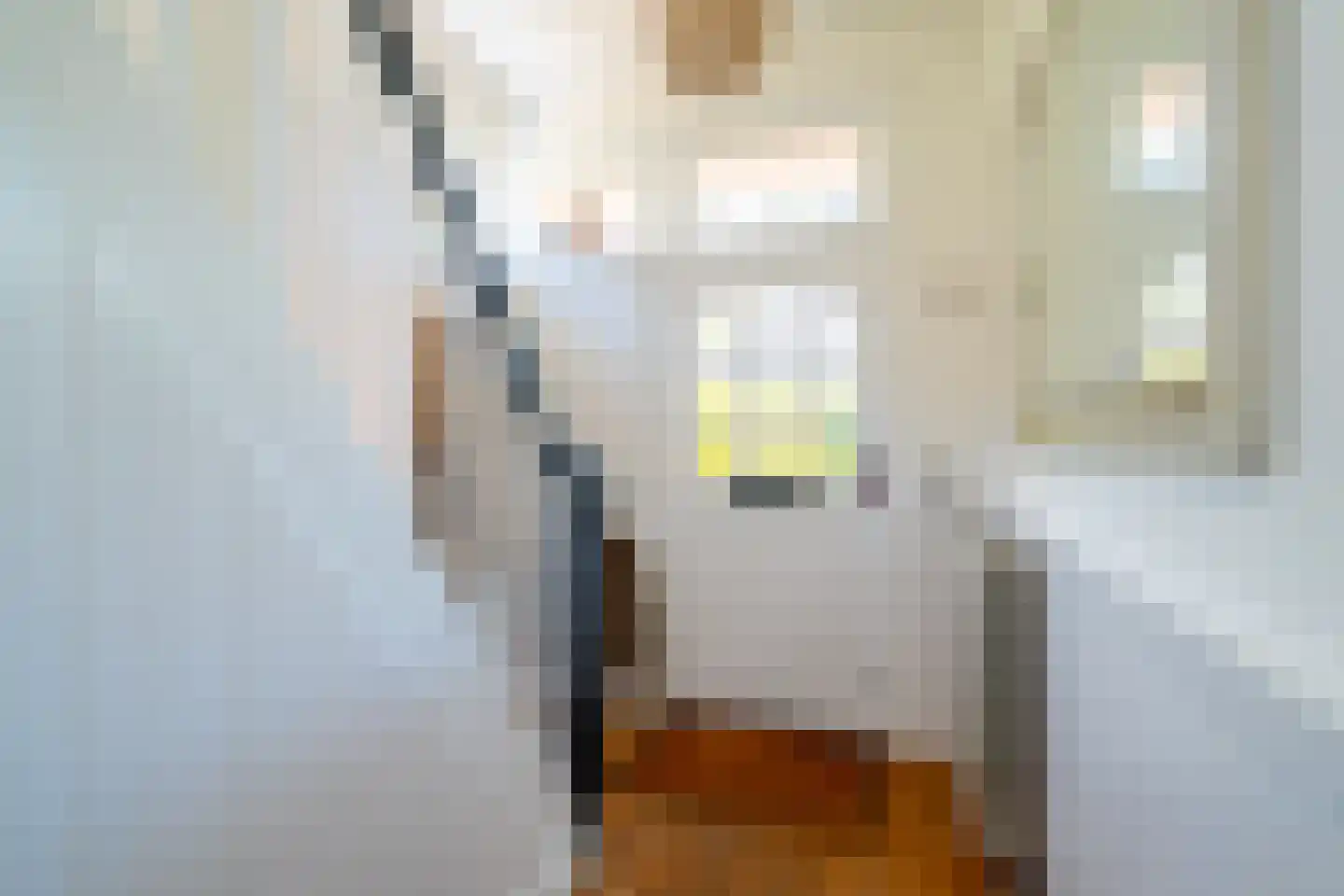 Langeloërweg 4 Norg thumbnail 15