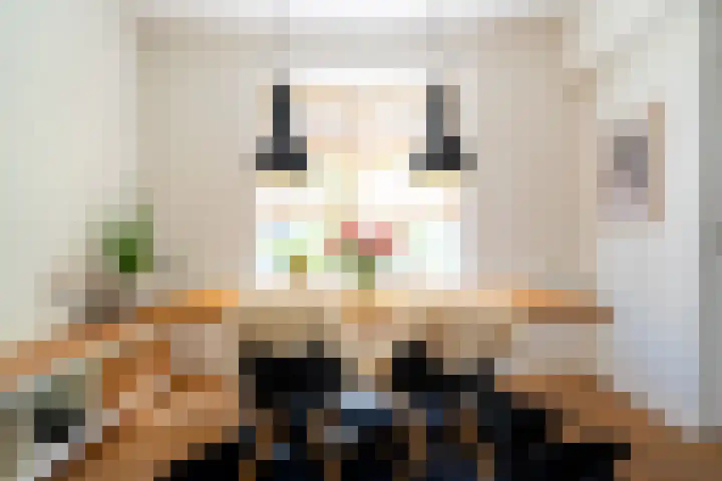 Langeloërweg 4 Norg thumbnail 21