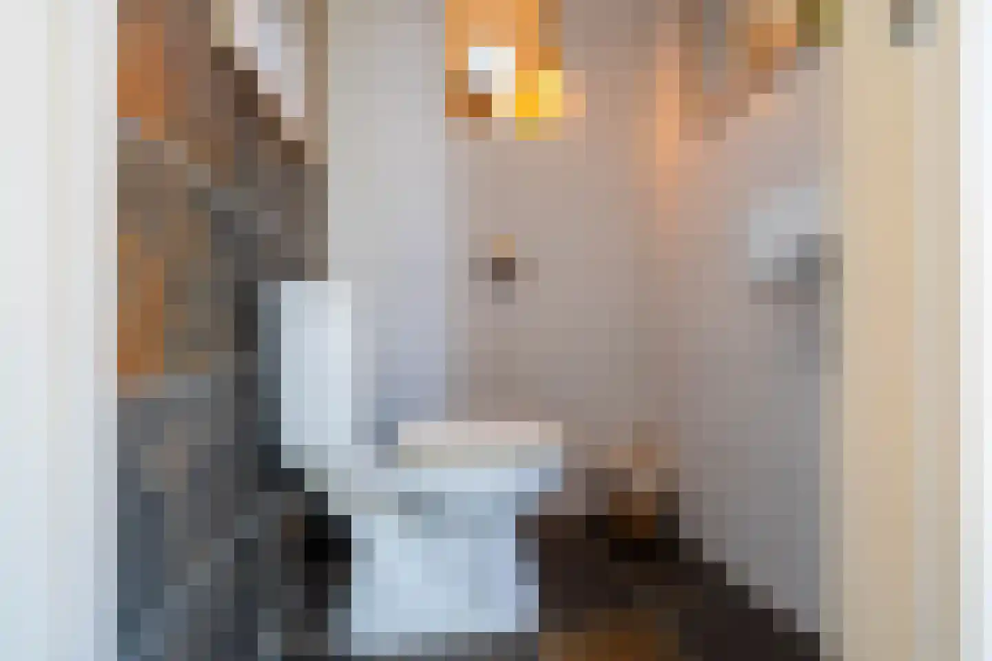 Langeloërweg 4 Norg thumbnail 28