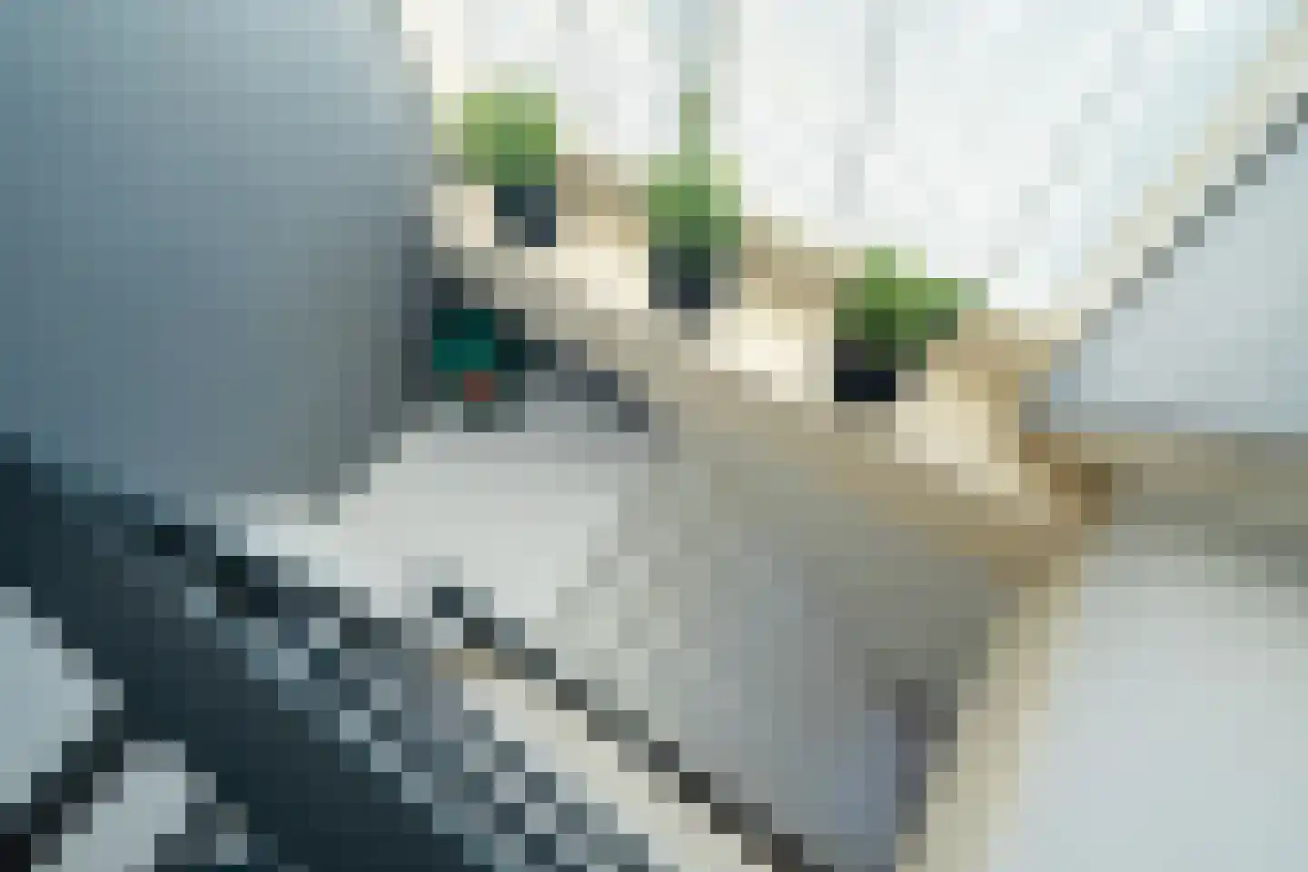 Langeloërweg 4 Norg thumbnail 33