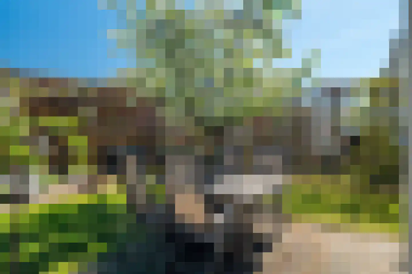 Langeloërweg 4 Norg thumbnail 46