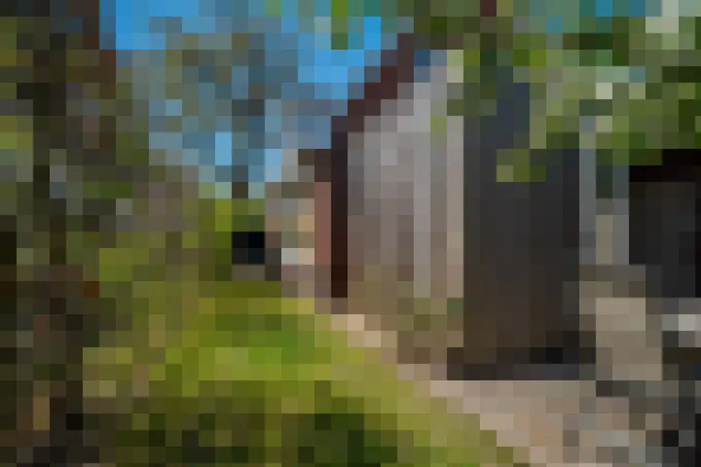Langeloërweg 4 Norg thumbnail 47