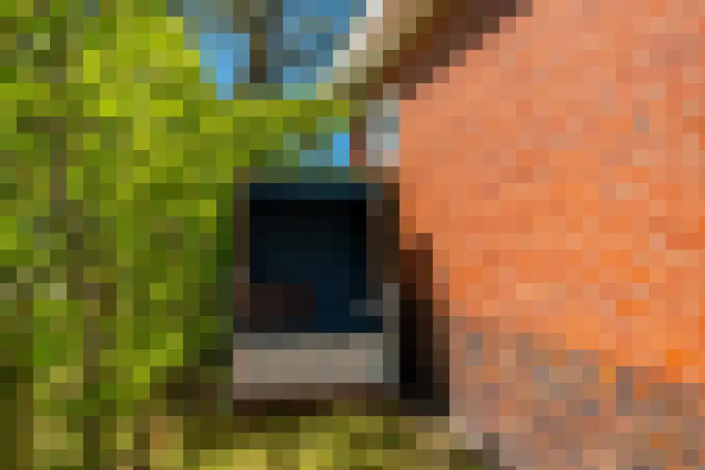 Langeloërweg 4 Norg thumbnail 48