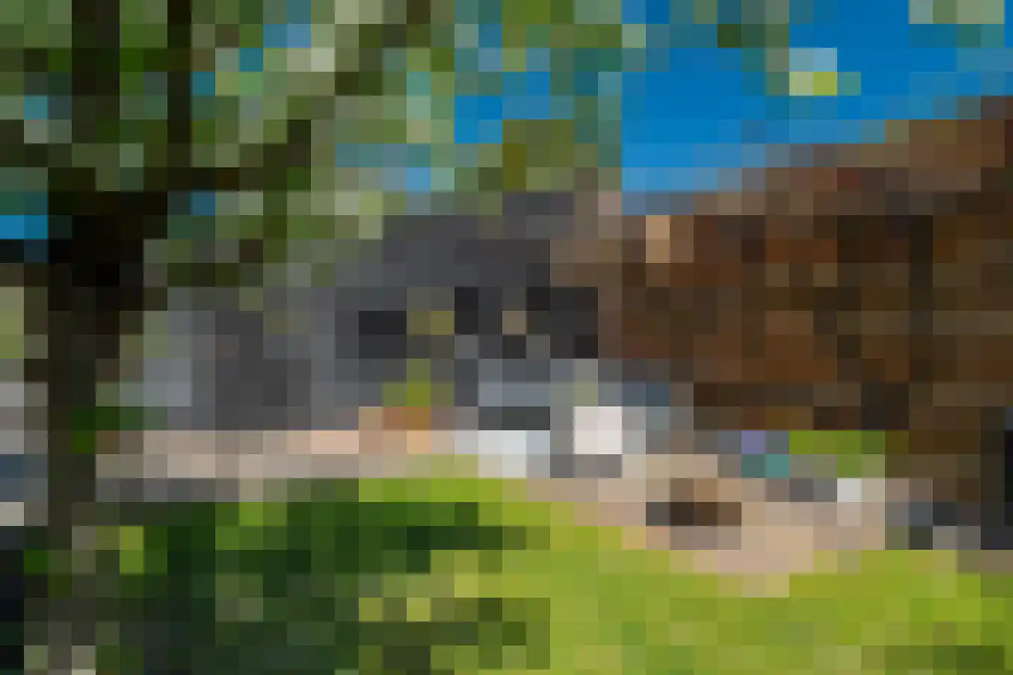 Langeloërweg 4 Norg thumbnail 5