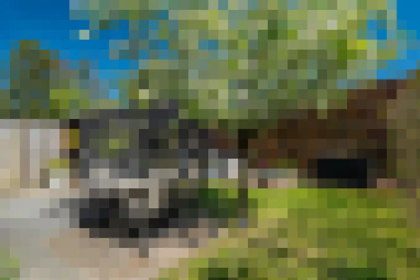 Langeloërweg 4 Norg thumbnail 50