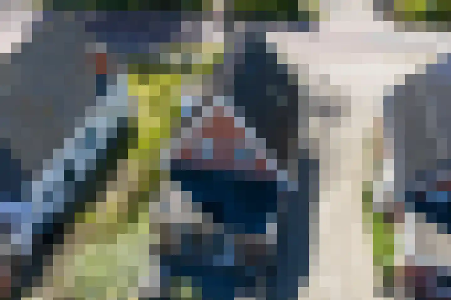 Langeloërweg 4 Norg thumbnail 59