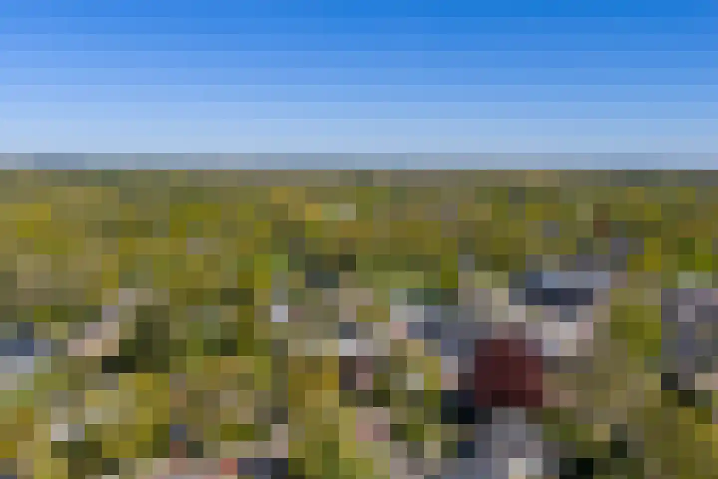 Langeloërweg 4 Norg thumbnail 61