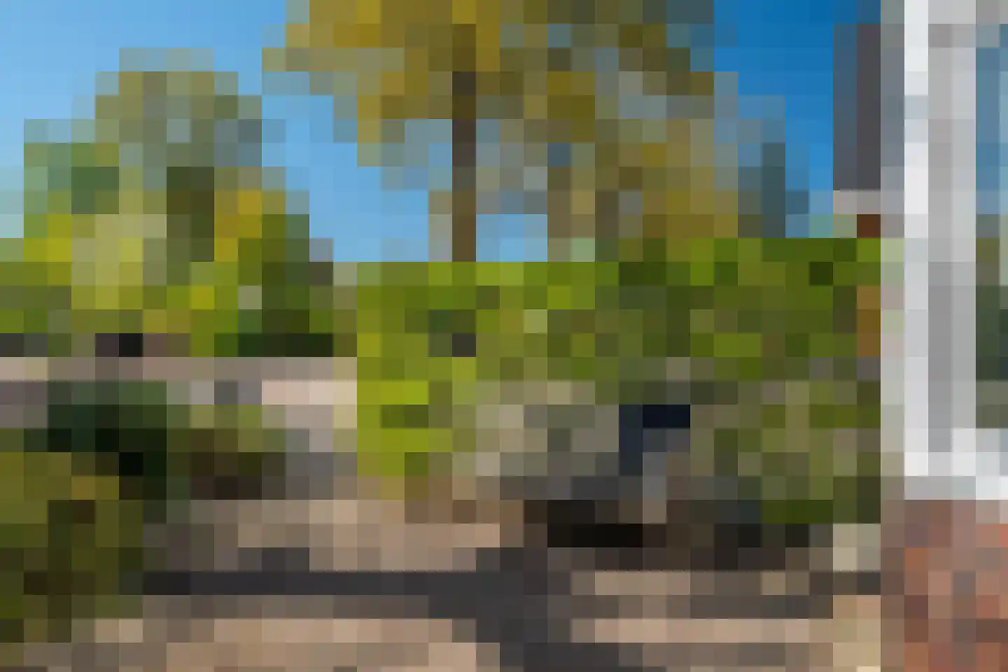 Langeloërweg 4 Norg thumbnail 9