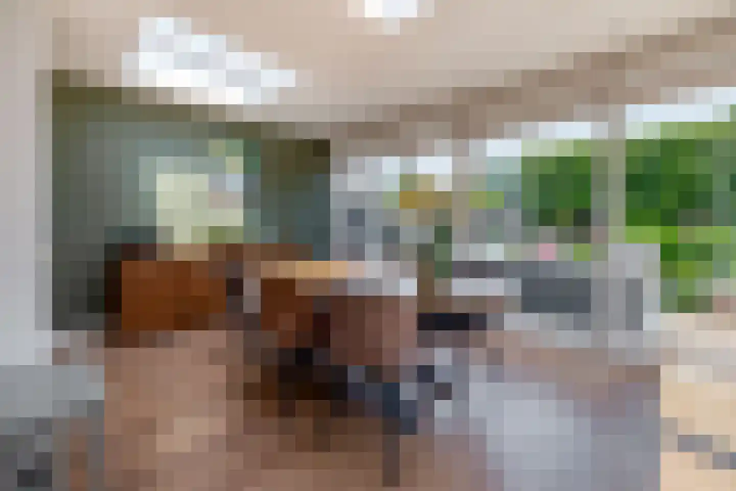 Langemeer 41 Kaatsheuvel thumbnail 10