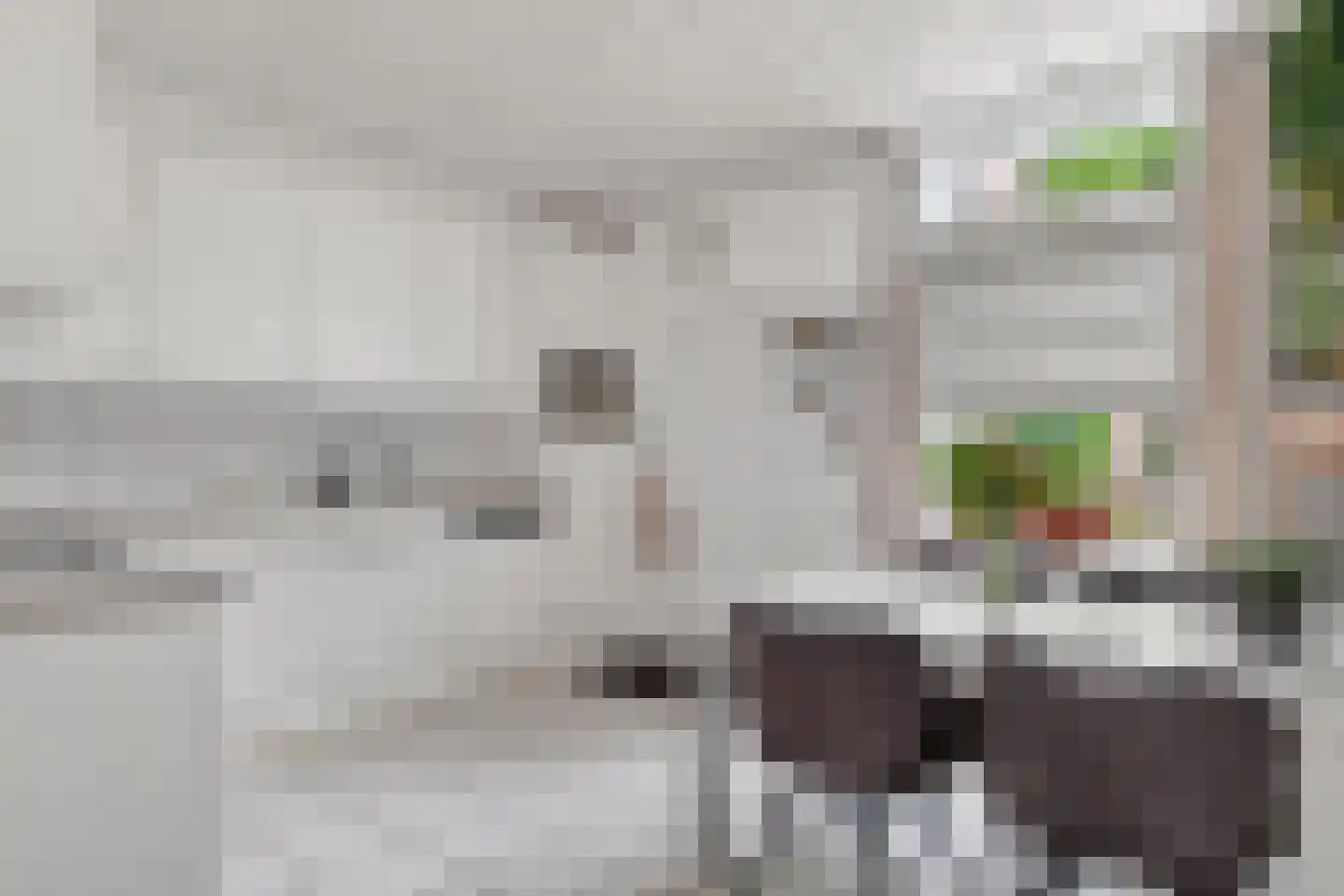 Langemeer 41 Kaatsheuvel thumbnail 13