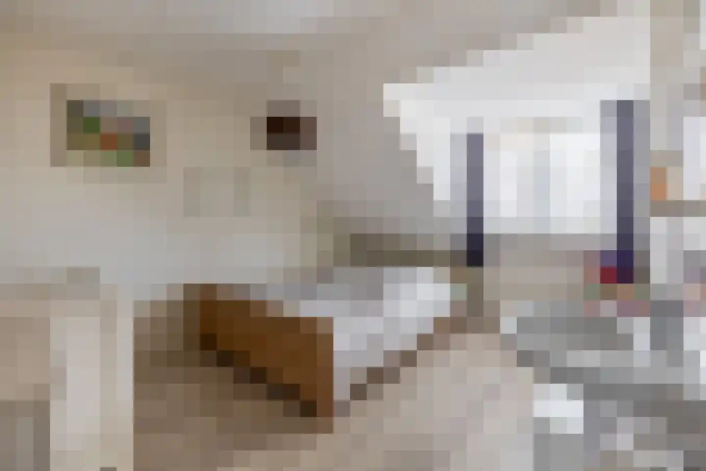 Langemeer 41 Kaatsheuvel thumbnail 22