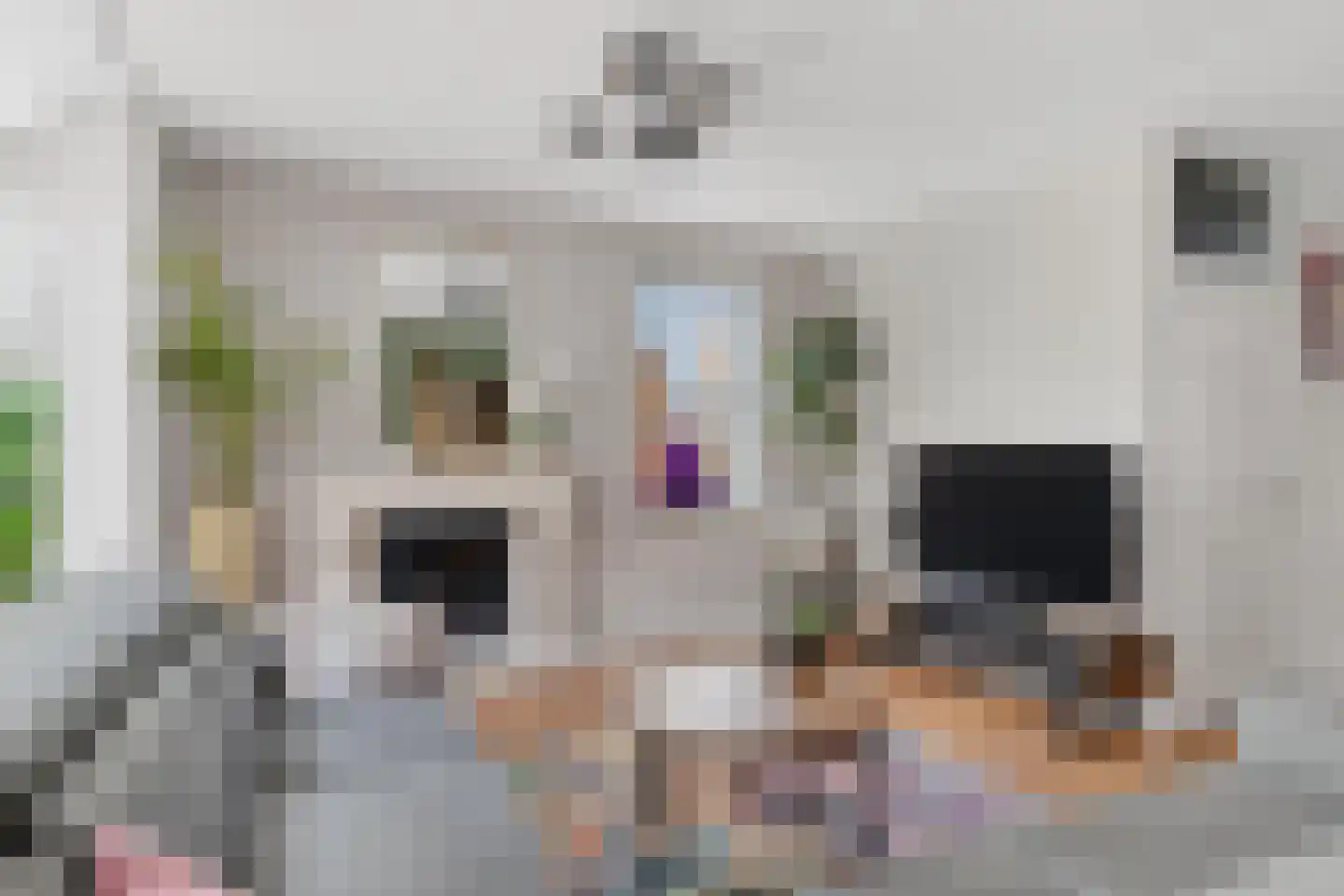 Langemeer 41 Kaatsheuvel thumbnail 8