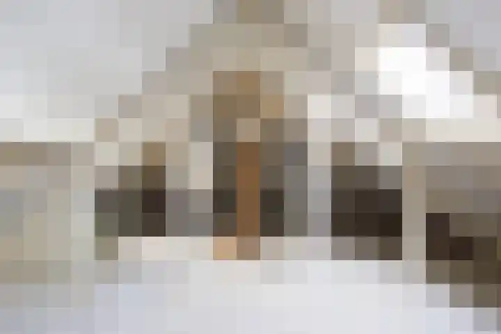 Langemeer 45 Kaatsheuvel thumbnail 14