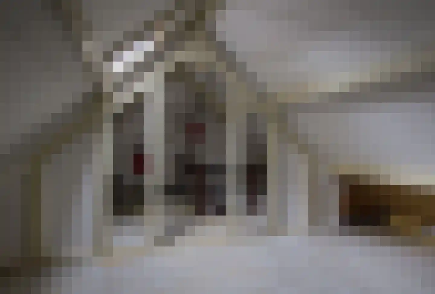 Langemeer 49 Kaatsheuvel thumbnail 22