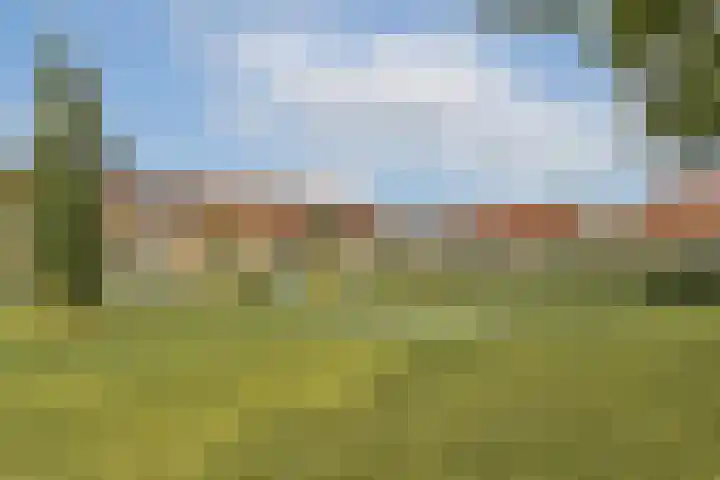 Langemeerstraat 4 Edam thumbnail 4