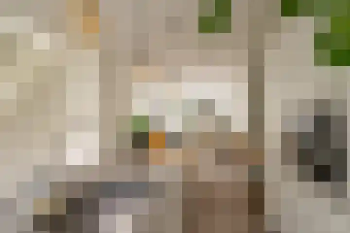 Langemeet 103 Goes thumbnail 19