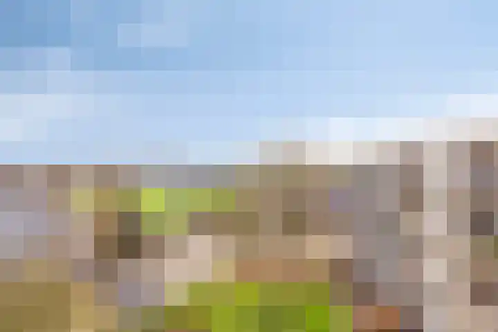 Langemeet 103 Goes thumbnail 24