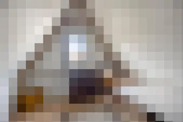 Langemeet 103 Goes thumbnail 31