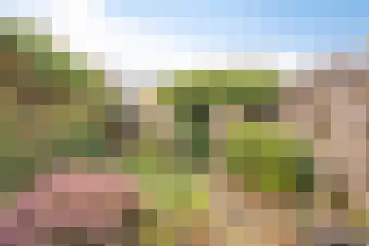 Langemeet 103 Goes thumbnail 37