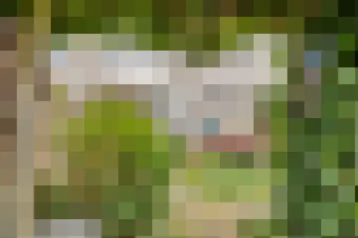 Langemeet 103 Goes thumbnail 39
