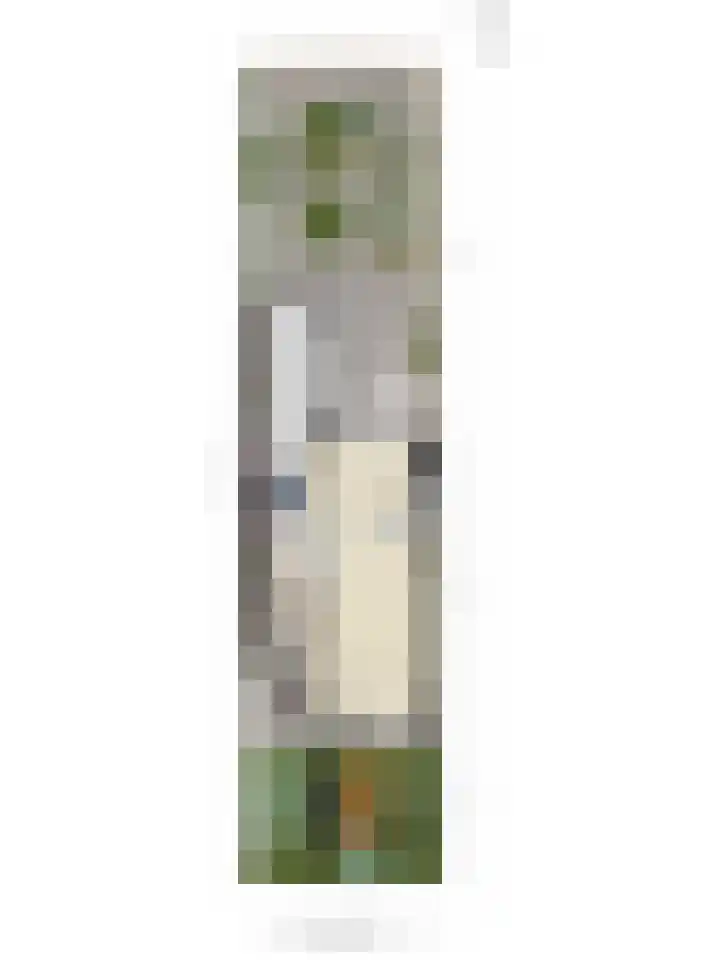Langemeet 103 Goes thumbnail 42