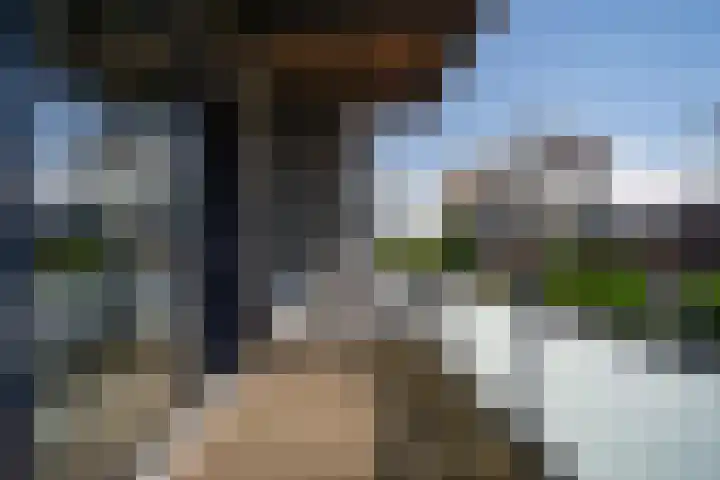 Langemeet 103 Goes thumbnail 7