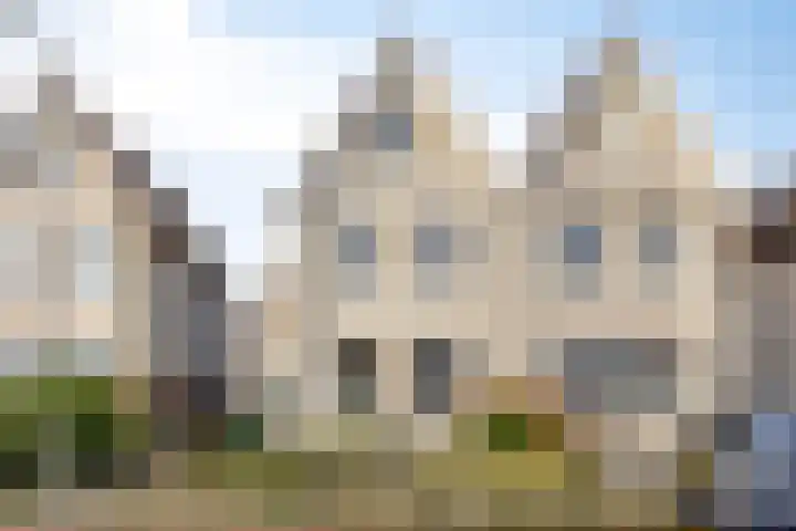 Langemeet 103 Goes thumbnail 7