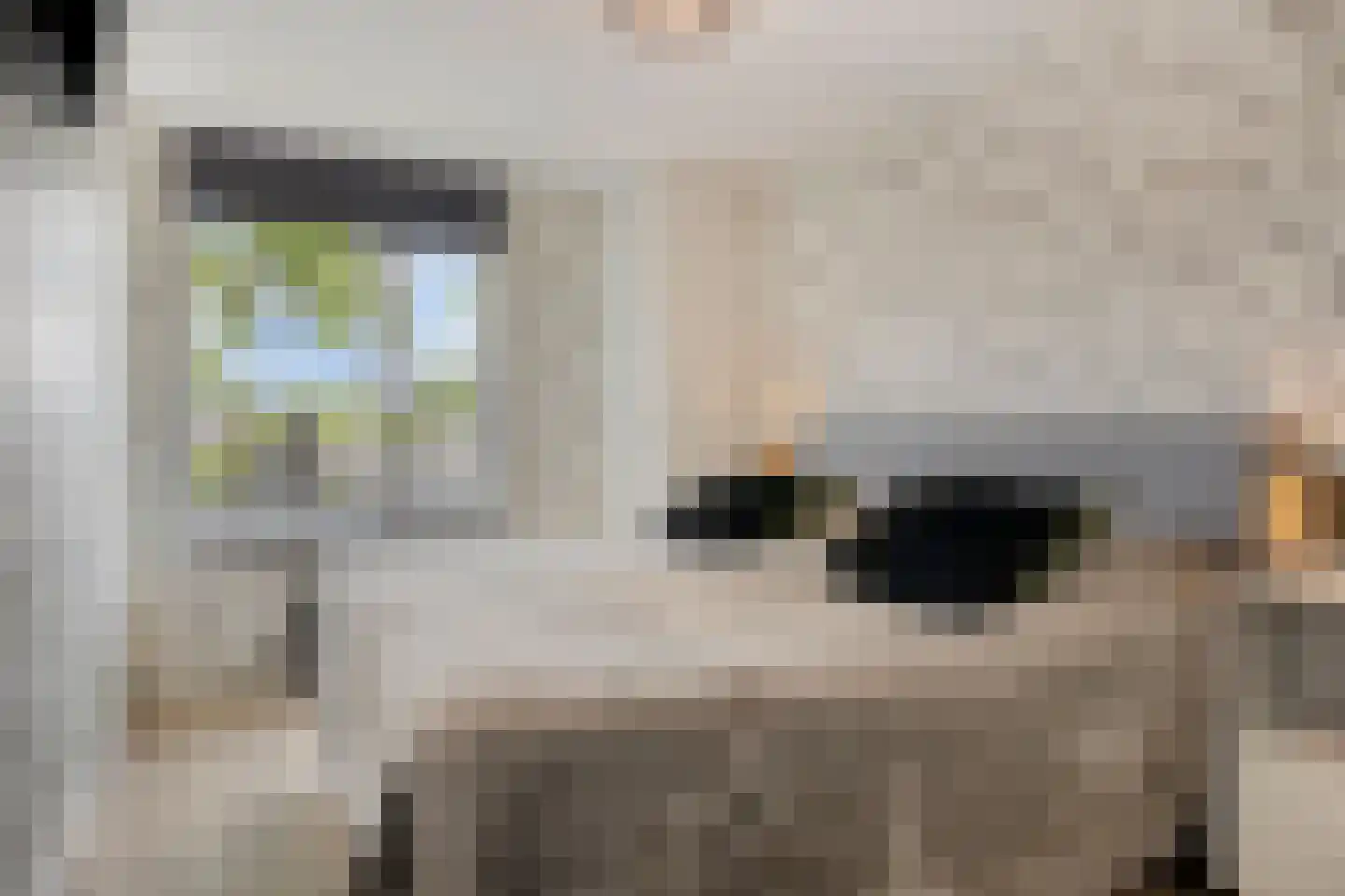 Langemeet 115 Goes thumbnail 23
