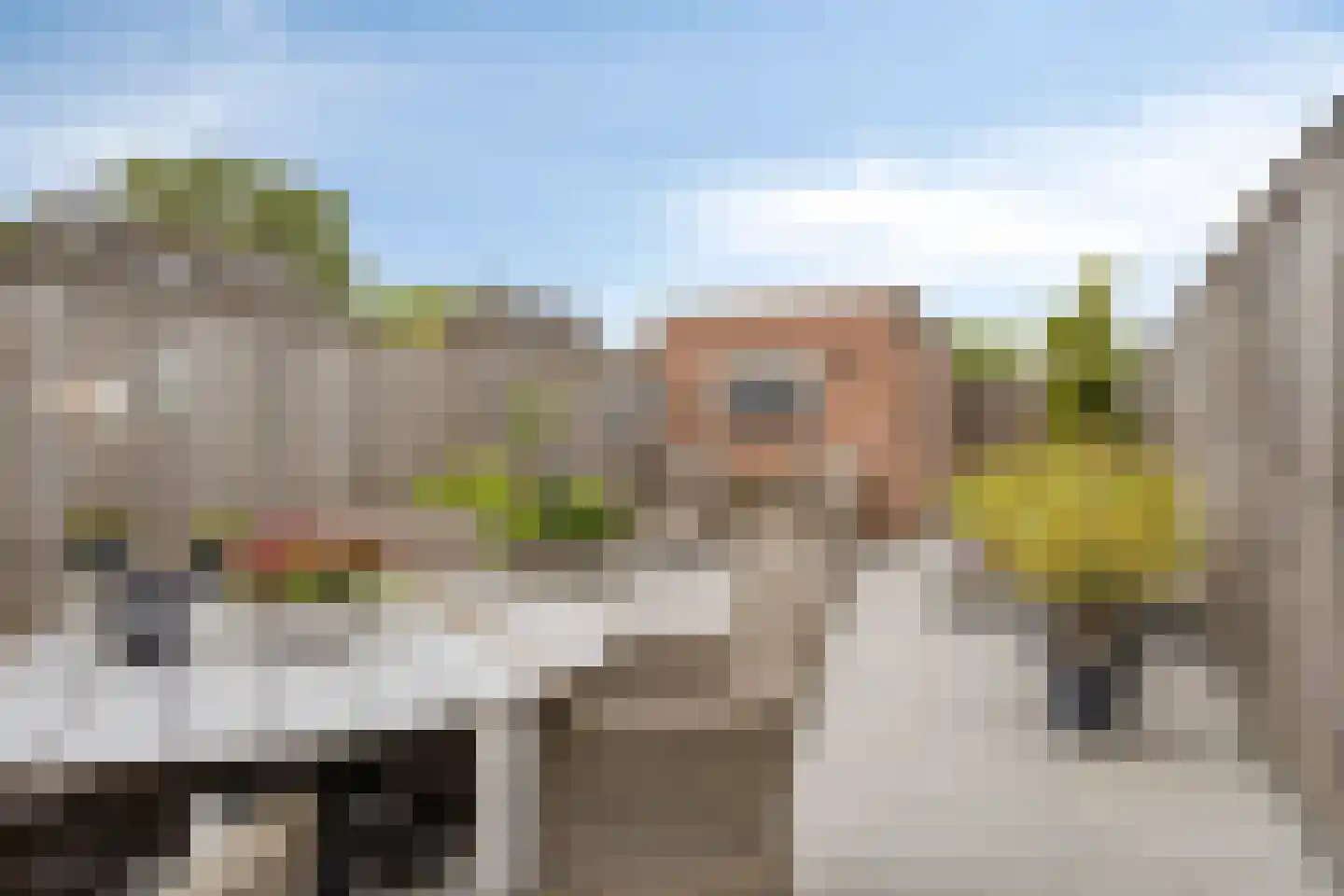 Langemeet 115 Goes thumbnail 35