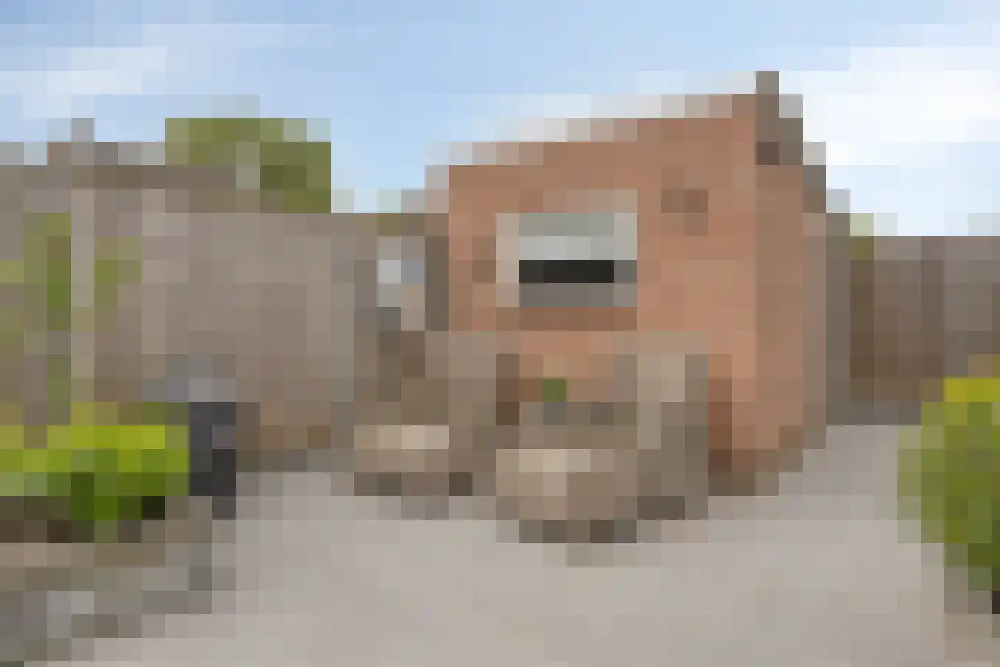 Langemeet 115 Goes thumbnail 36