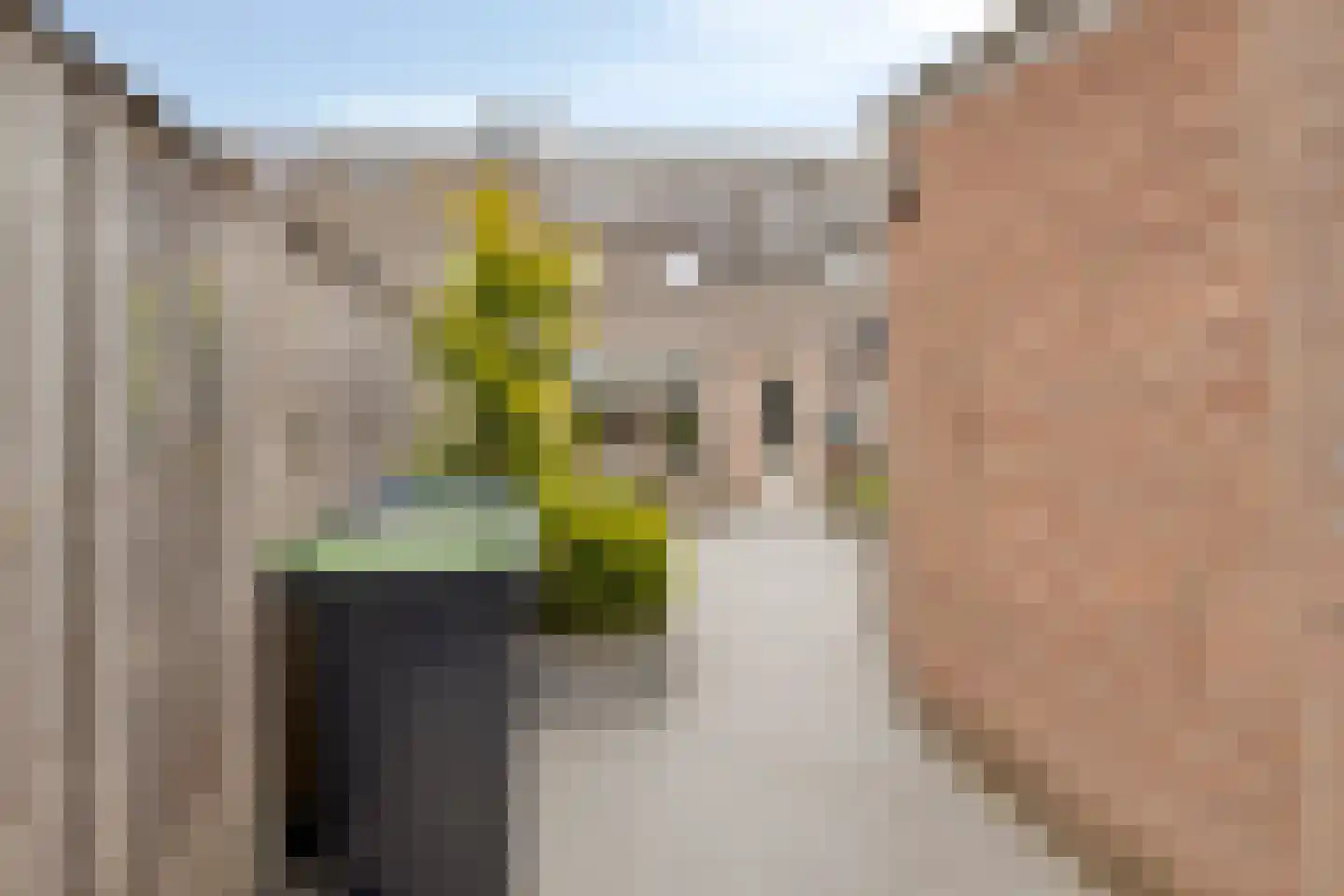 Langemeet 115 Goes thumbnail 39
