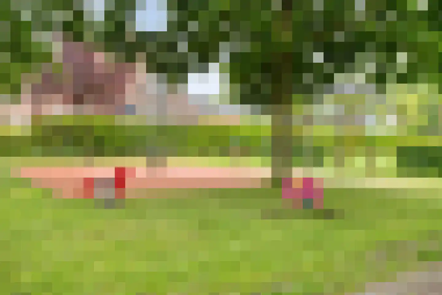 Langemeet 115 Goes thumbnail 42
