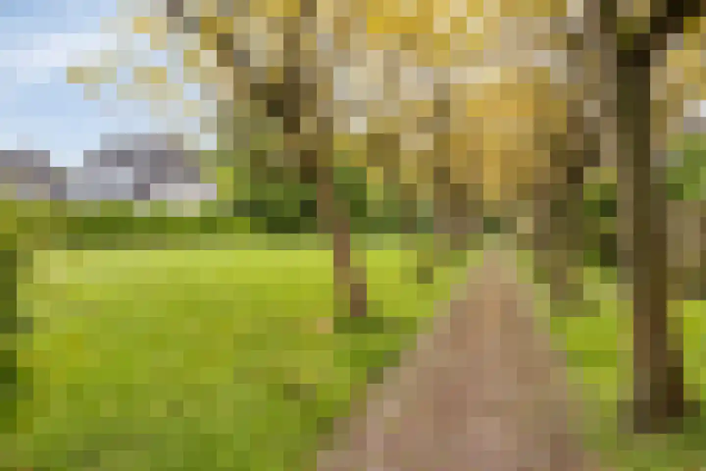 Langemeet 115 Goes thumbnail 43