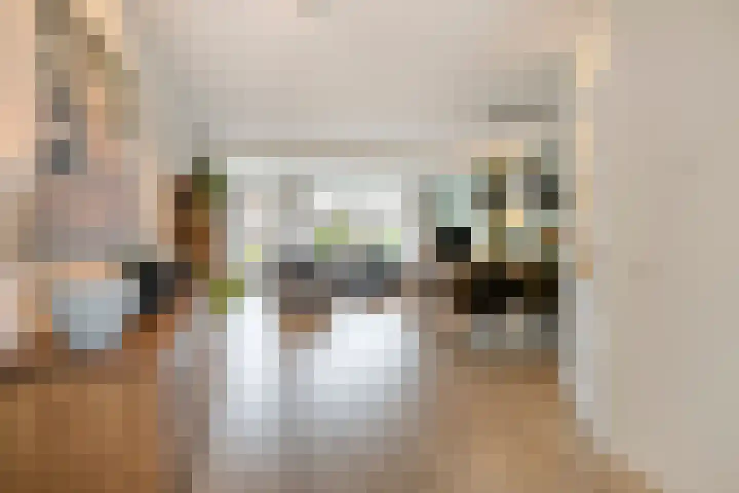 Langemeet 115 Goes thumbnail 6