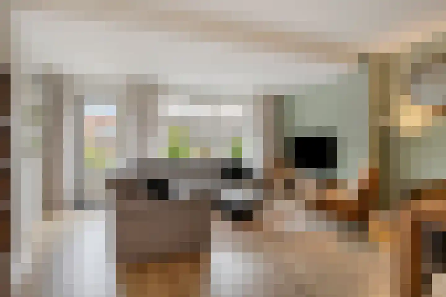 Langemeet 115 Goes thumbnail 7