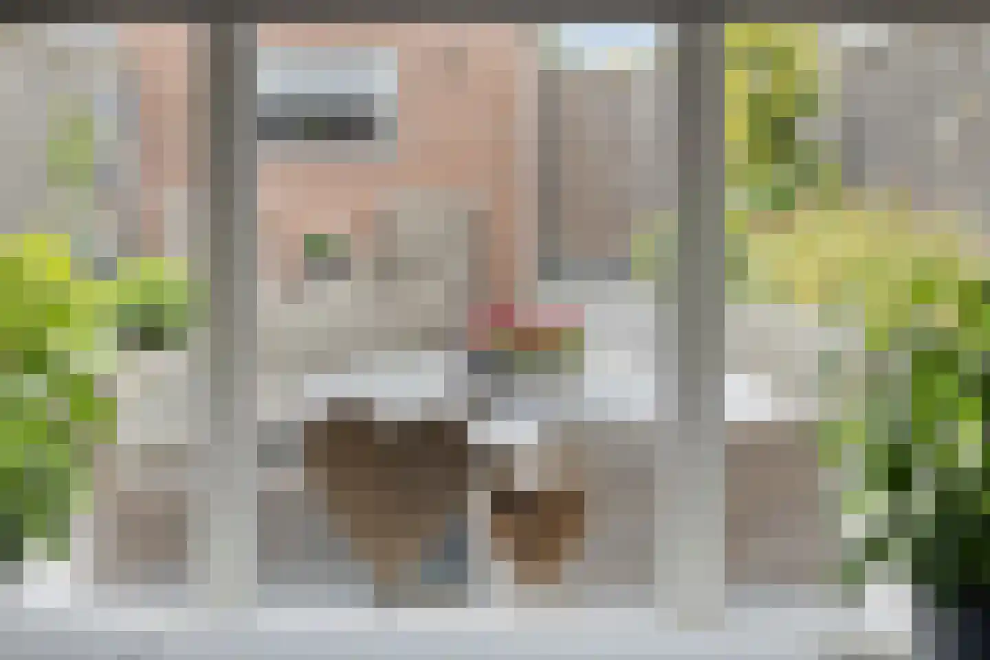 Langemeet 115 Goes thumbnail 9