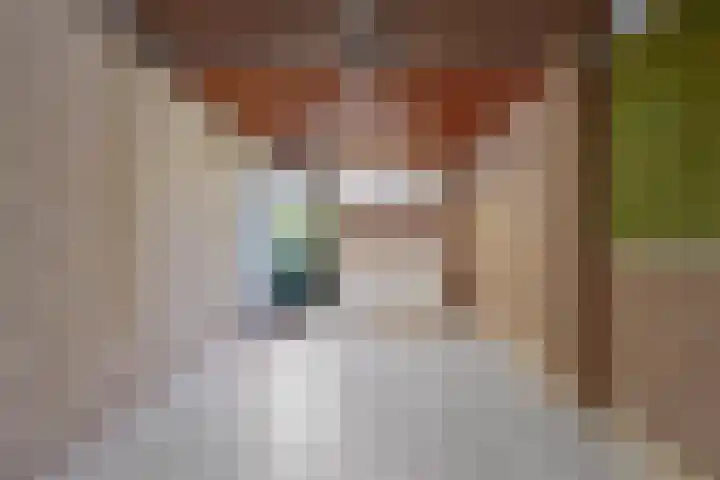 Langemeet 36 Goes thumbnail 17