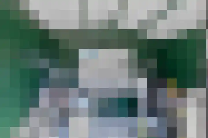 Langemeet 36 Goes thumbnail 30