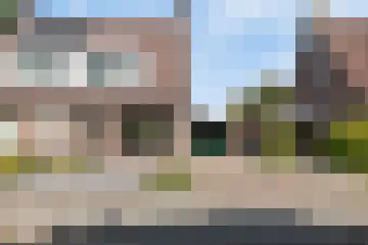 Langemeet 36 Goes thumbnail 41