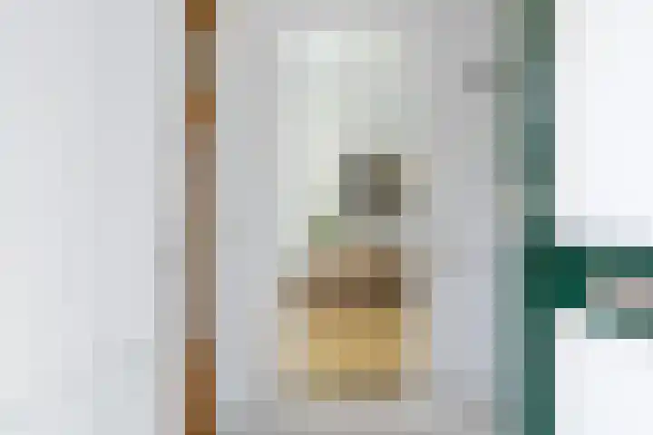 Langemeet 36 Goes thumbnail 5