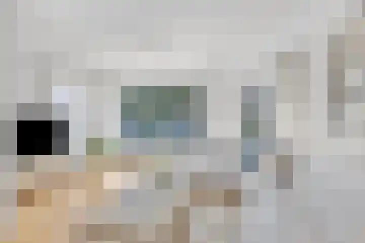 Langemeet 36 Goes thumbnail 8