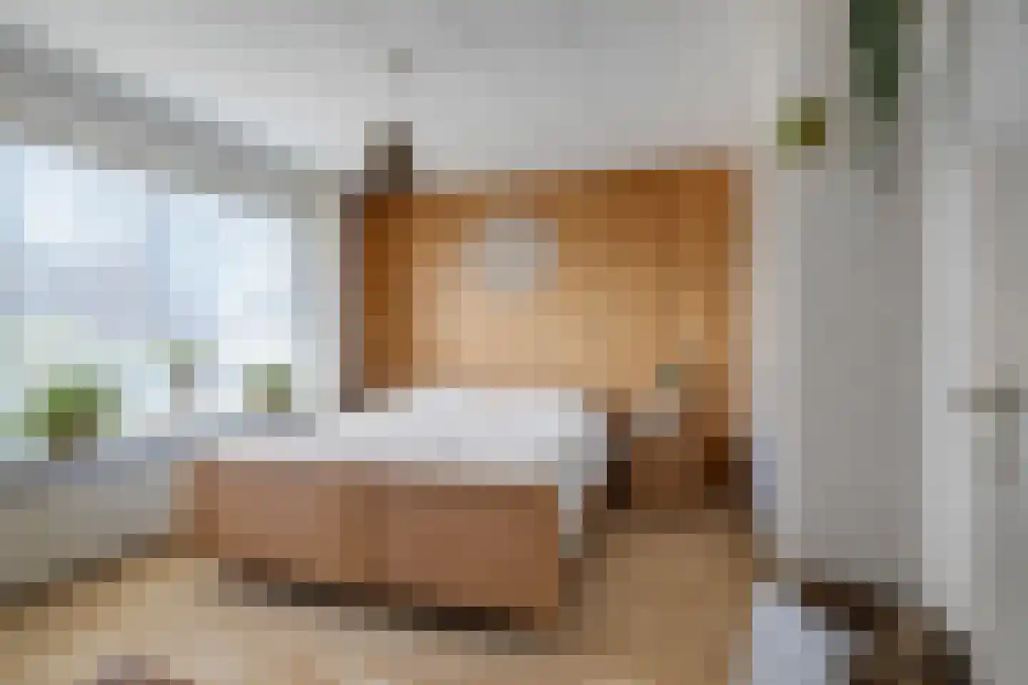 Langemeijerstraat 3 Heeswijk-Dinther thumbnail 27