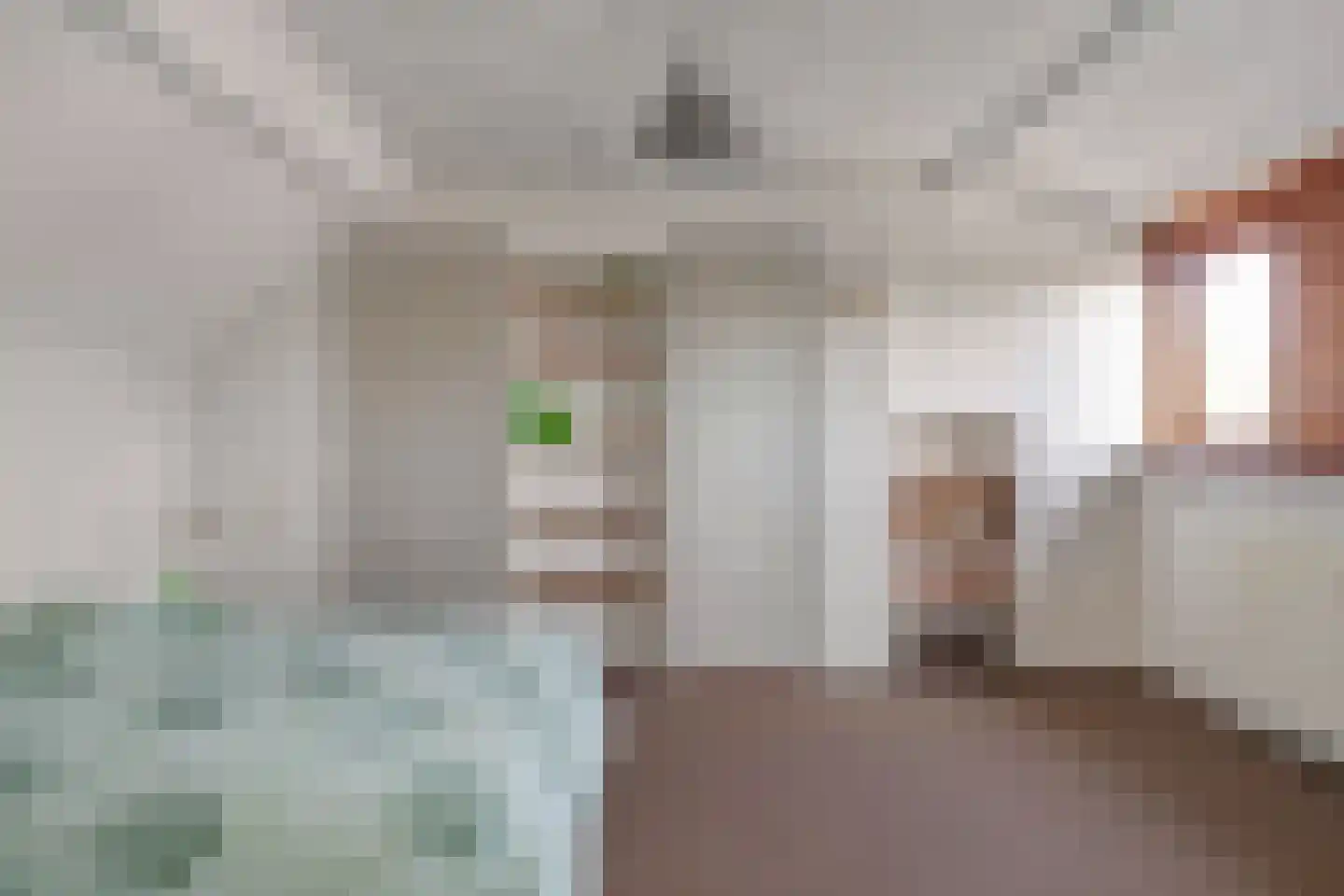 Langemeijerstraat 3 Heeswijk-Dinther thumbnail 31