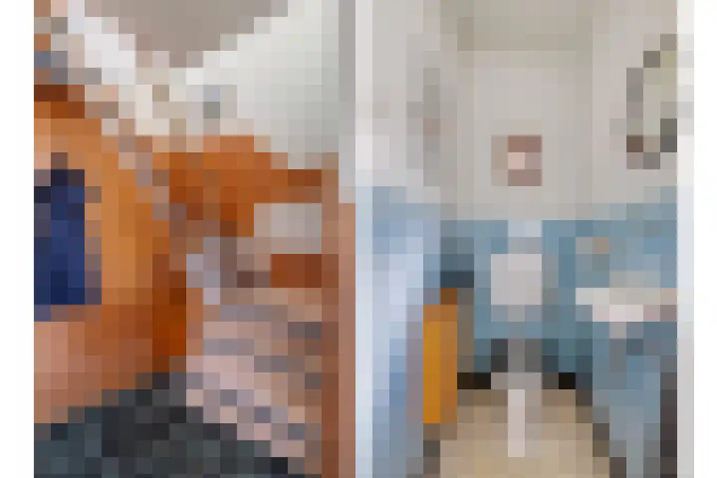 Langemeijerstraat 3 Heeswijk-Dinther thumbnail 8