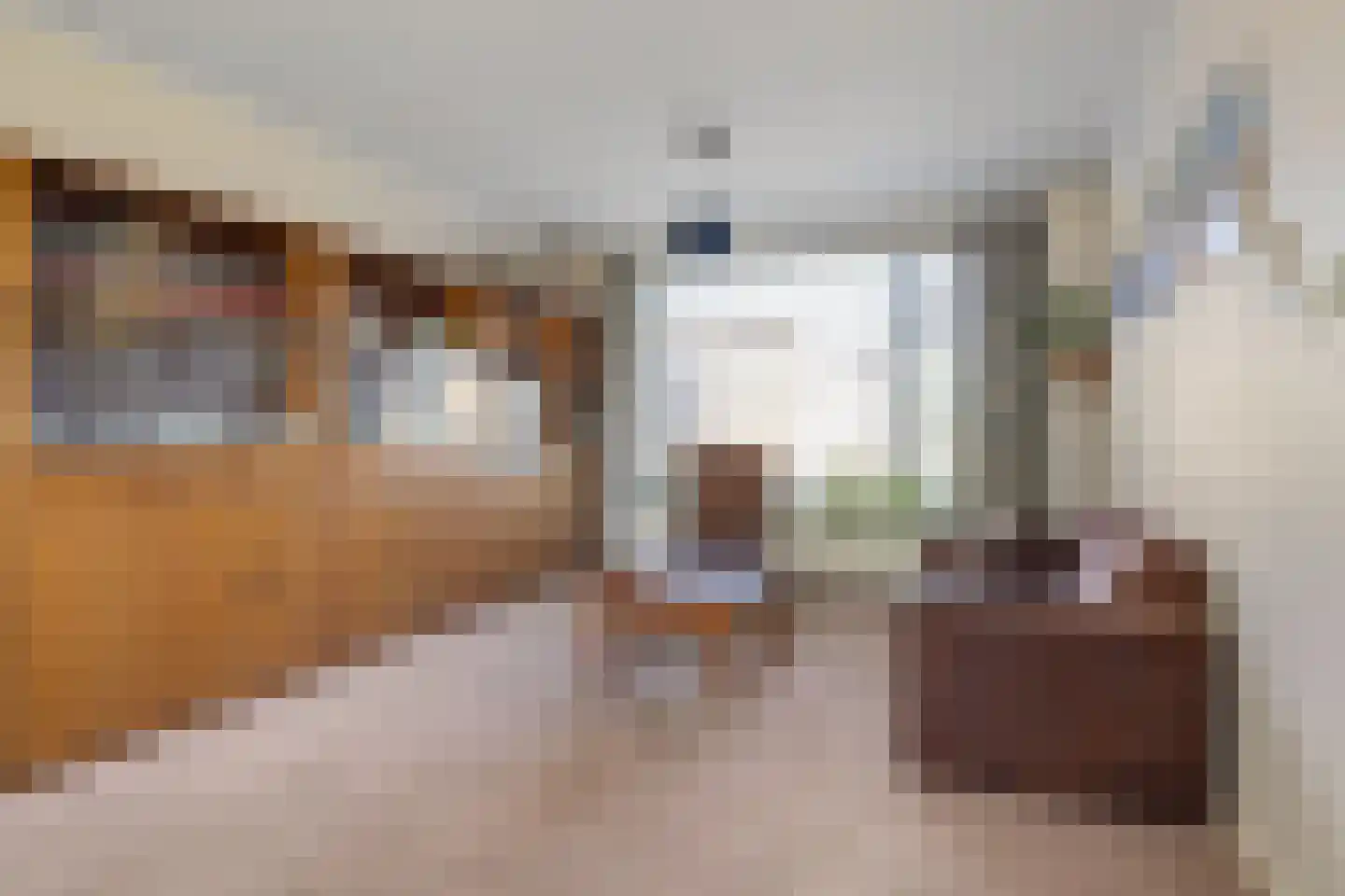 Langemeijerstraat 3 Heeswijk-Dinther thumbnail 9