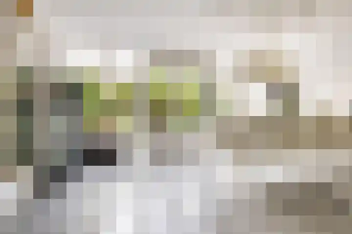 Langemoor 14 Nieuw-Vennep thumbnail 10