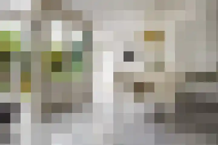 Langemoor 14 Nieuw-Vennep thumbnail 11