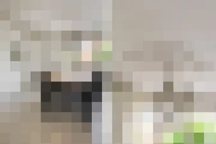 Langemoor 14 Nieuw-Vennep thumbnail 22