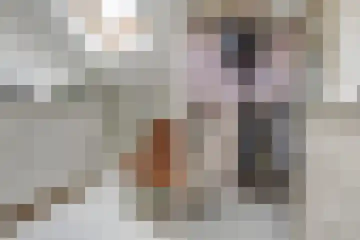 Langemoor 14 Nieuw-Vennep thumbnail 32