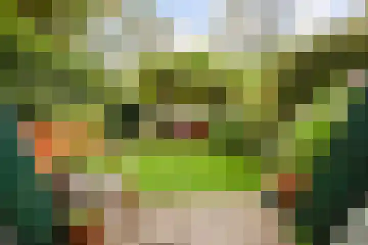 Langemoor 14 Nieuw-Vennep thumbnail 33